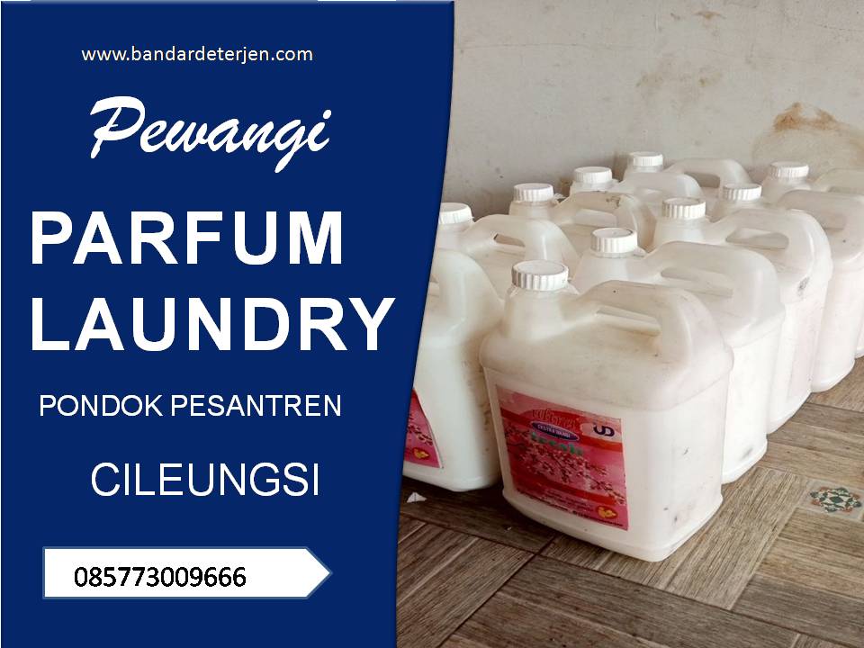 parfum laundry pondok pesantren cileungsi bogor